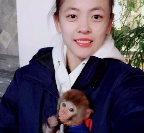 河南籃球女冠軍_籃球河南冠軍女子是誰_籃球河南冠軍女排名單